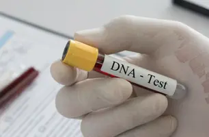 TJ-PI abre inscrições para mutirão gratuito de reconhecimento de paternidade no Piauí (Foto: Reprodução)