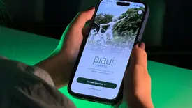 Turismo Piauí (Foto: Divulgação)