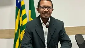 Vereador do Piauí sofre mais de 2 mil ferroadas em ataque de abelhas em terreno (Foto: Reprodução)
