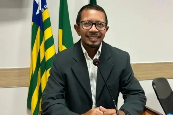Vereador do Piauí sofre mais de 2 mil ferroadas em ataque de abelhas em terreno